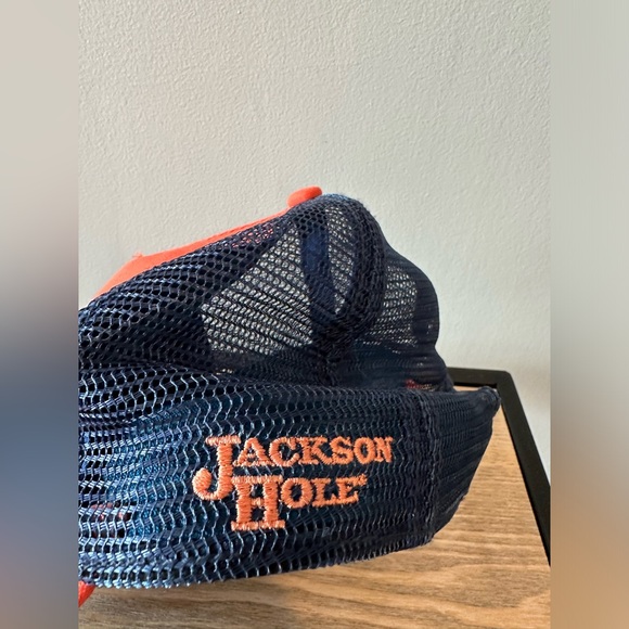 EUC WOMENS PATAGONIA FITZ ROY BISON LAYBACK TRUCKER HAT JACKSON HOLE WY BUFFALO - Picture 2 of 4